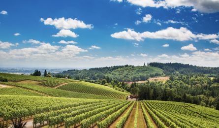 Capital Insights March 2026 (1)